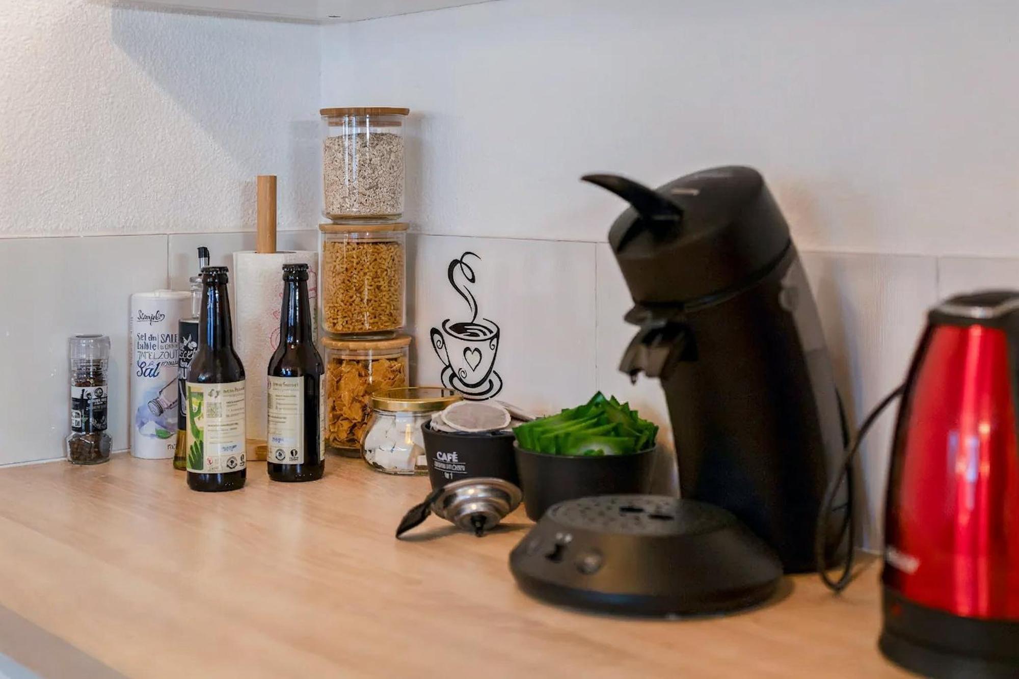 Superbe Appartement - Parking Gratuit - 4 Personnes Chambéry Eksteriør billede